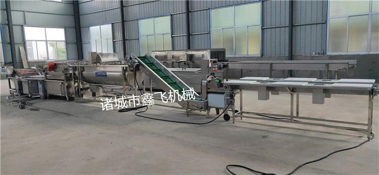 ���̓��˼ӹ���ˮ��